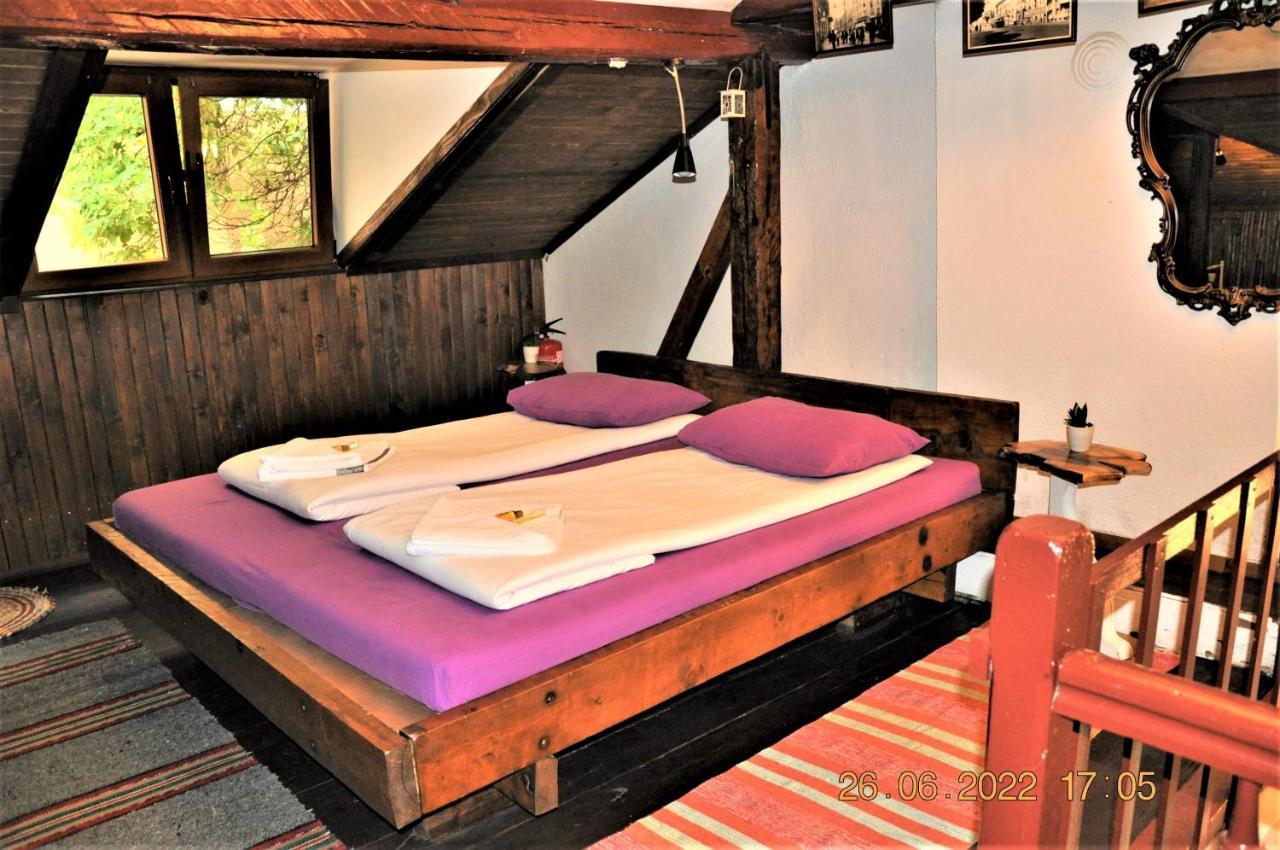 Social Guest House ソフィア エクステリア 写真