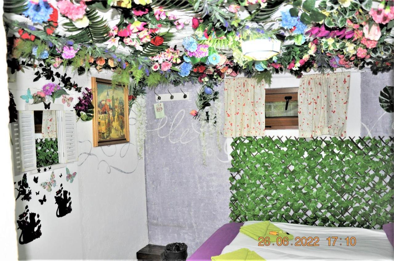 Social Guest House ソフィア エクステリア 写真